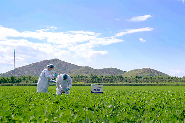 現(xiàn)代農(nóng)業(yè)