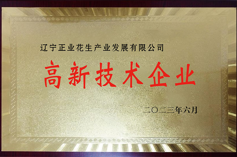 高新技術(shù)企業(yè)